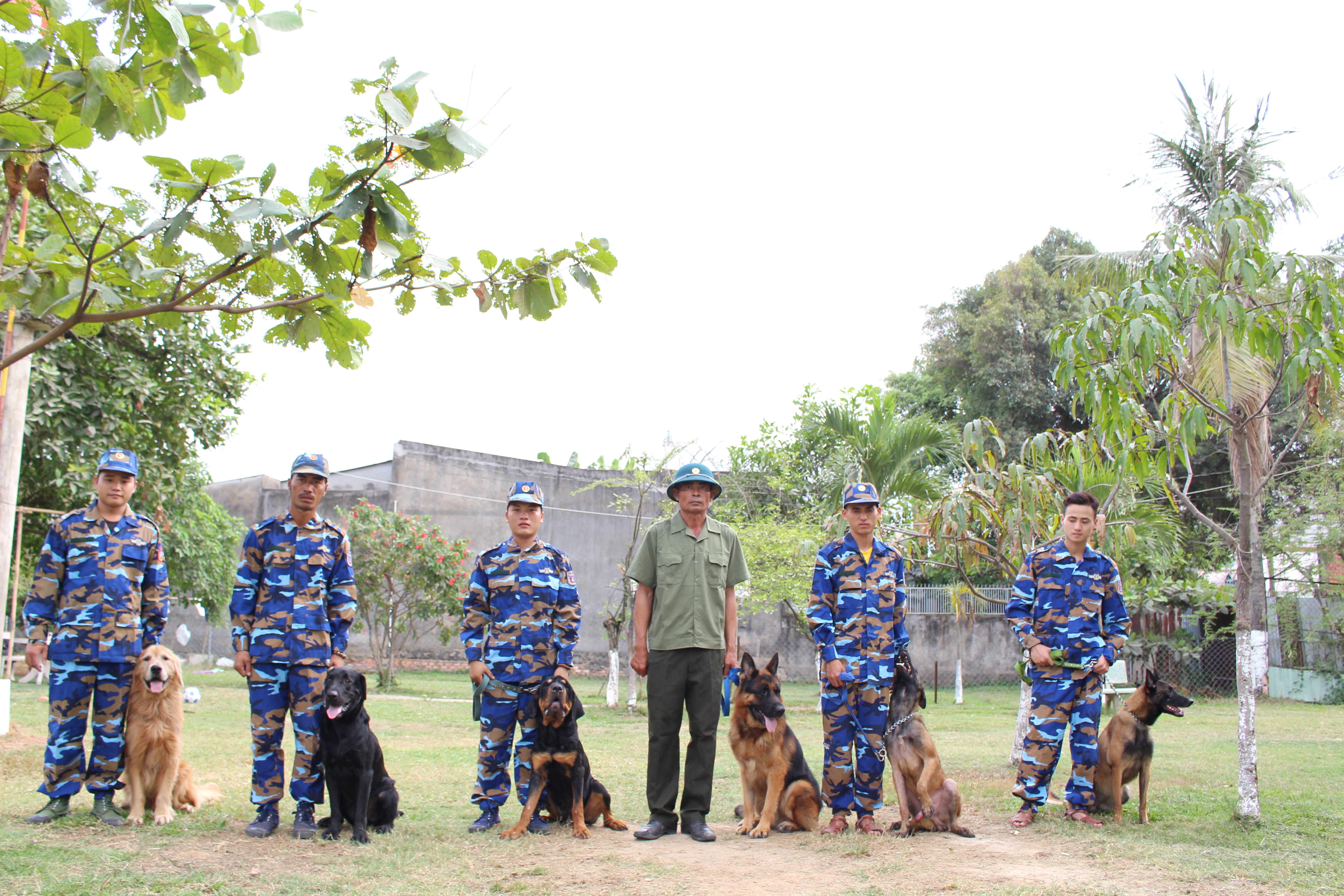 Toàn Phát - trung tâm huấn luyện chó Bình Phước uy tín